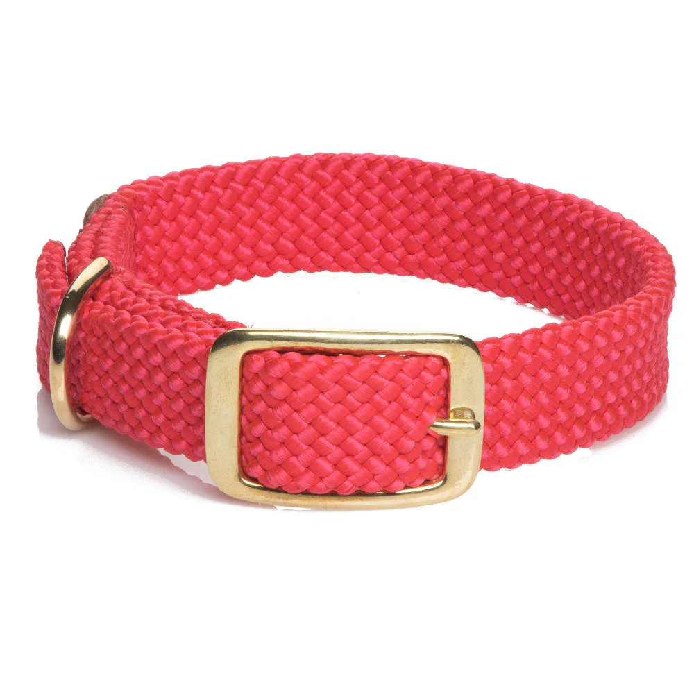 Dog Collars